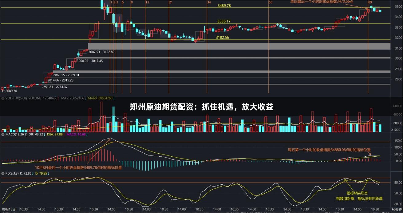 郑州原油期货配资：抓住机遇，放大收益